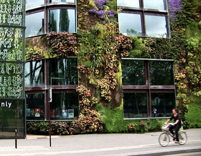 Xu hướng thiết kế Biophilic Design – Sống cùng với thiên nhiên