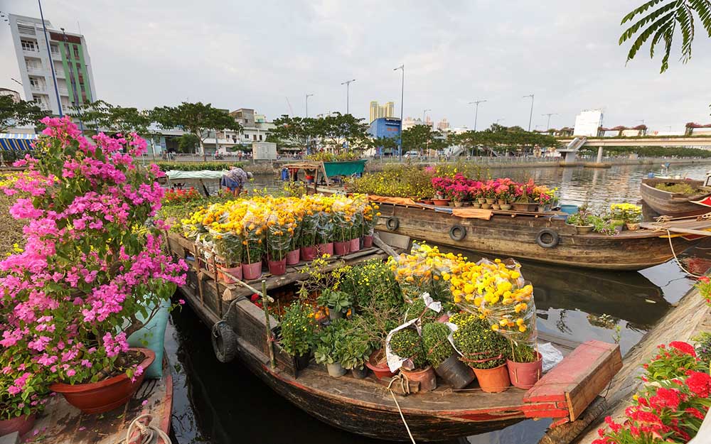 hoa trang trí tết